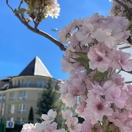 Hotel Maison - Mgallery