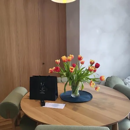 酒店 索菲亚之家酒店
